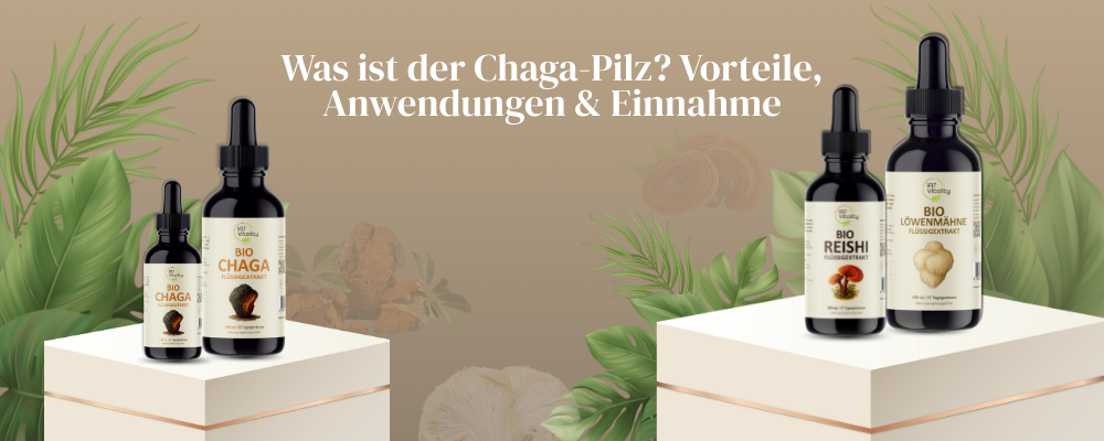 Bio Chaga - Bio Löwenmähne, Bio Reishi