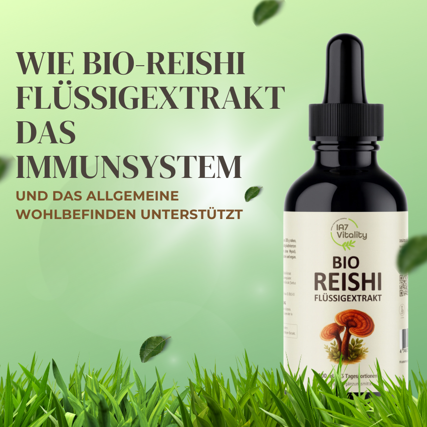 Bio-Reishi-Flüssigextrakt