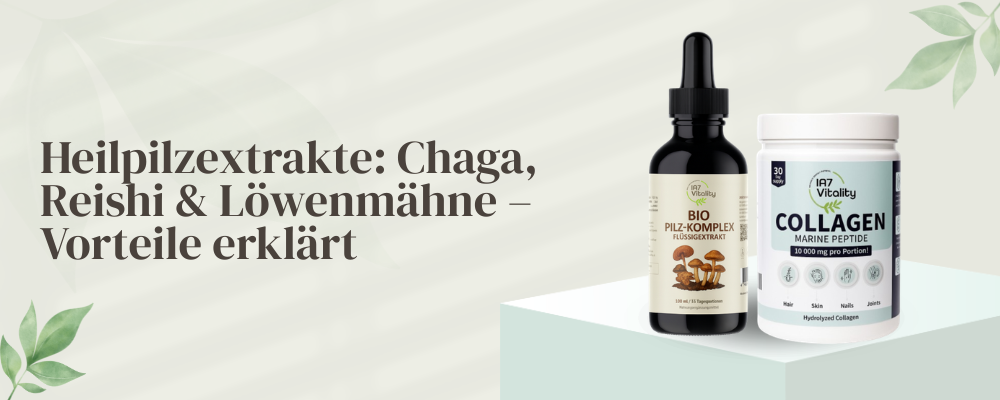 Chaga, Reishi und Löwenmähne