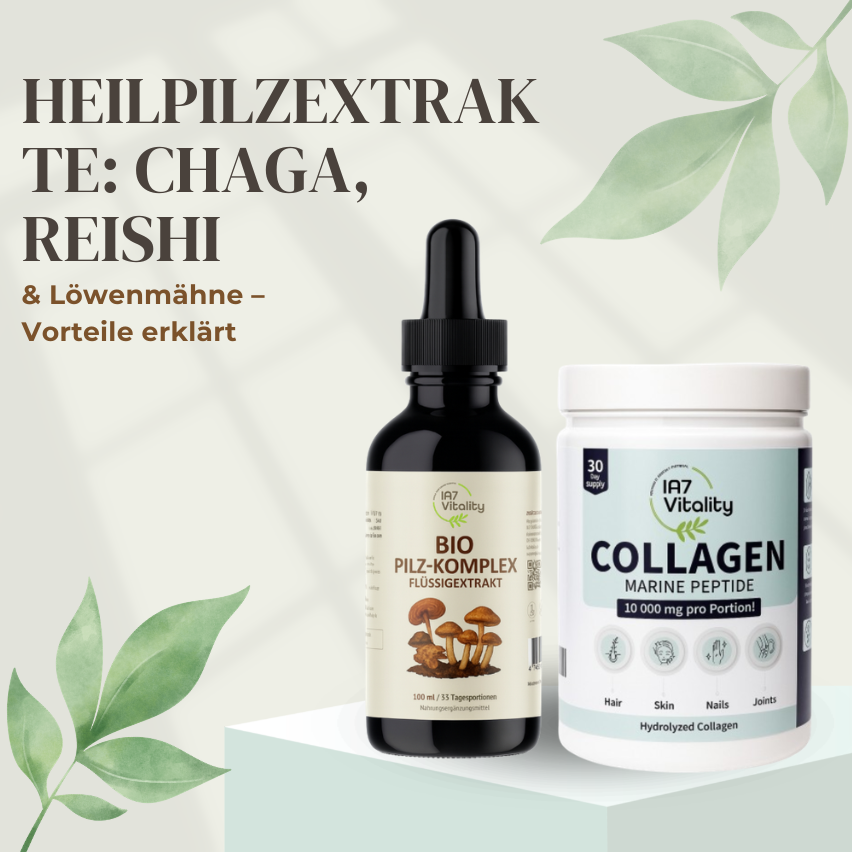 Chaga, Reishi und Löwenmähne