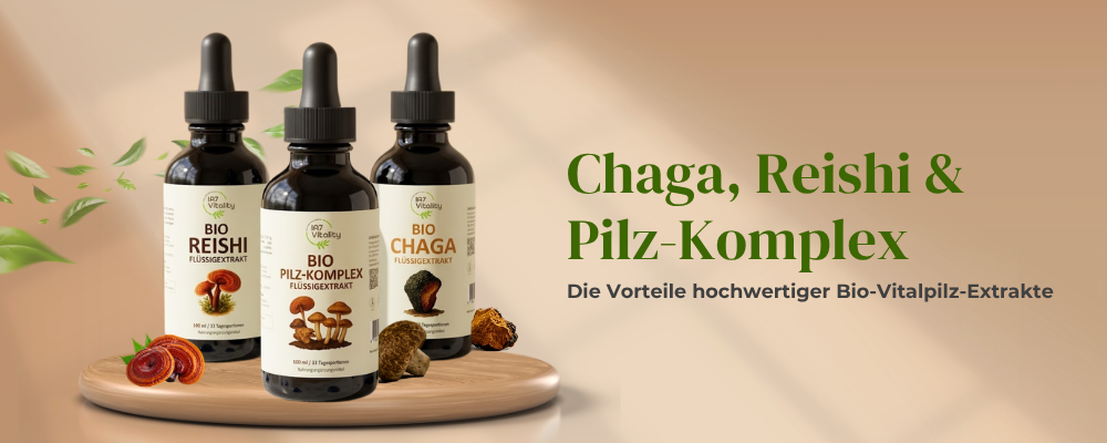 Chaga Reishi & Pilz-Komplex