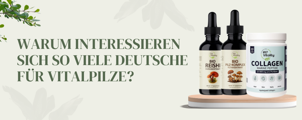 Vitalpilze in Deutschland