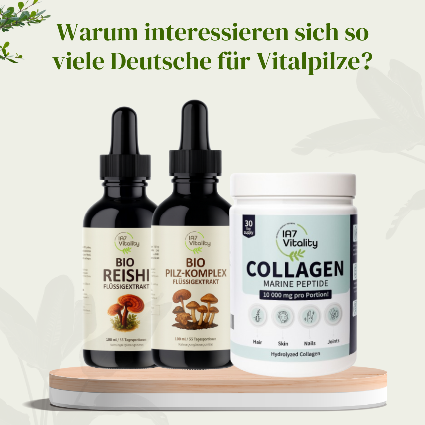 Vitalpilze in Deutschland