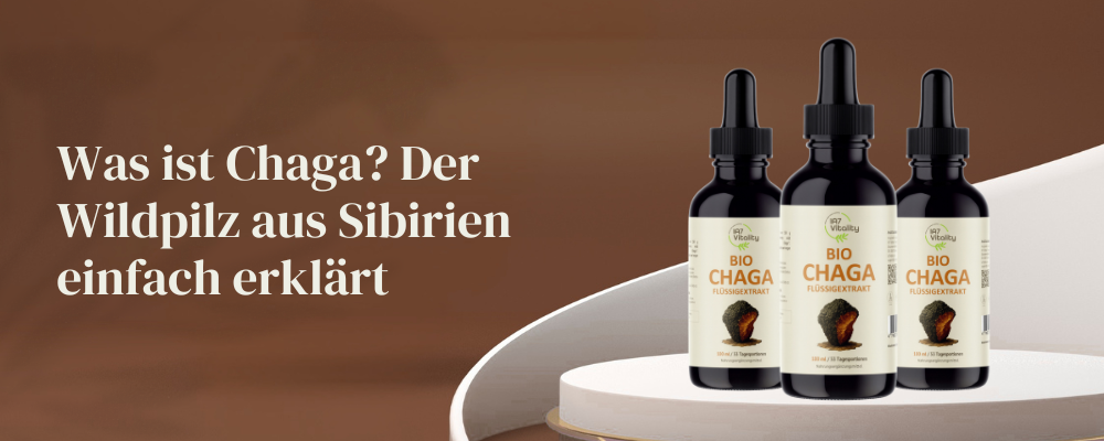 Chaga