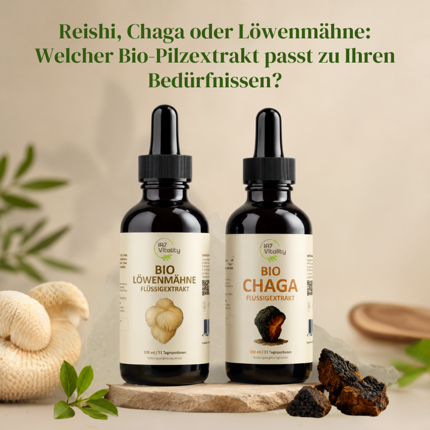 Bio Pilzextrakt
