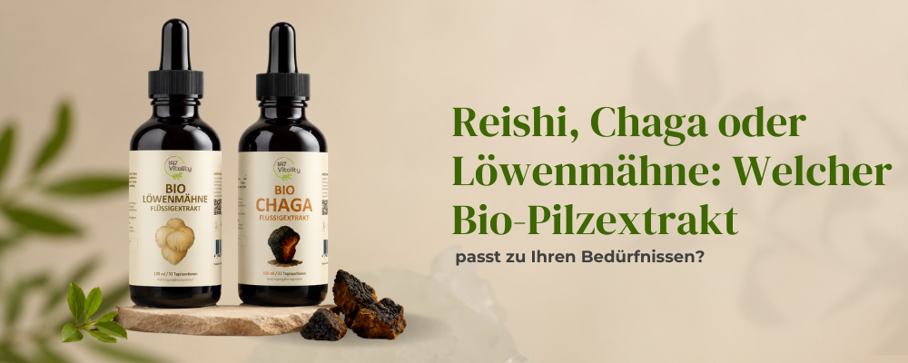 Bio Pilzextrakt